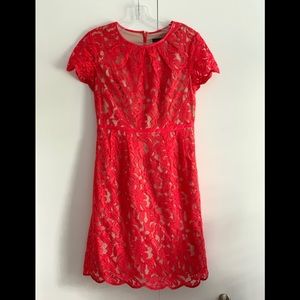 Adrianna Papell Lace Dress 4P